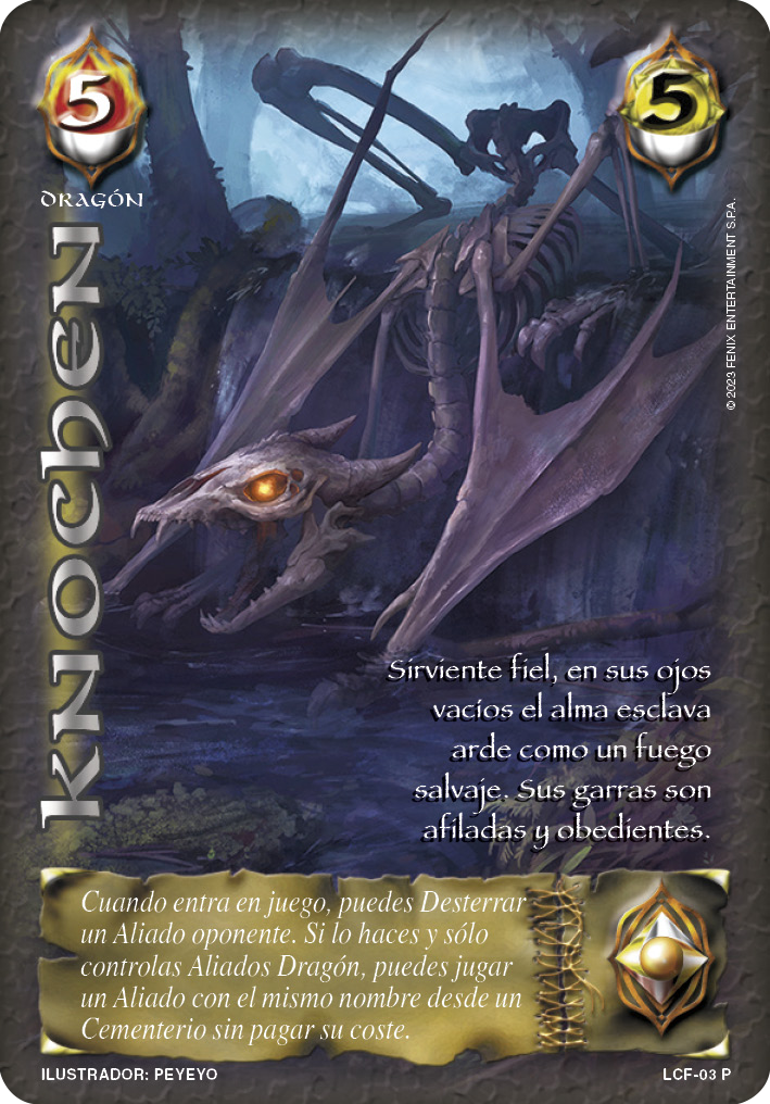 knochen