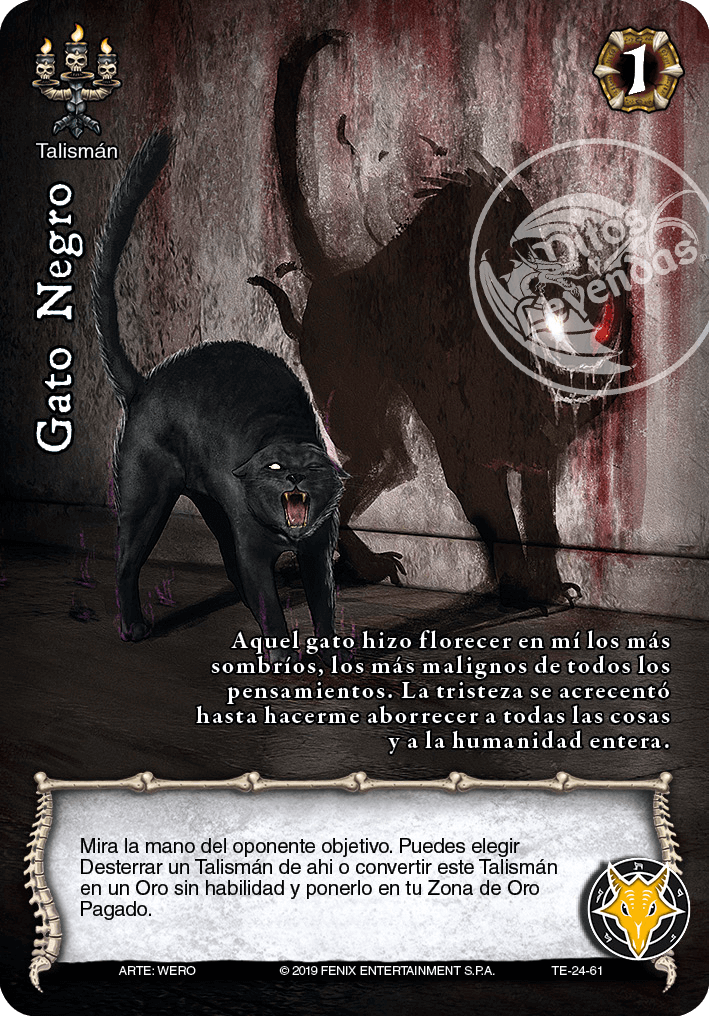 gato negro